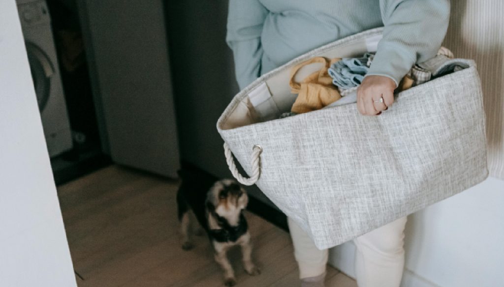 common-causes-of-bad-odors-in-laundry-1024x585-1 Common Causes of Bad Odors in Laundry