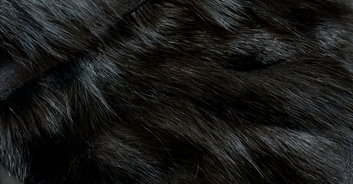 2114_one_size_image_01_4577 Black fur swatch up close