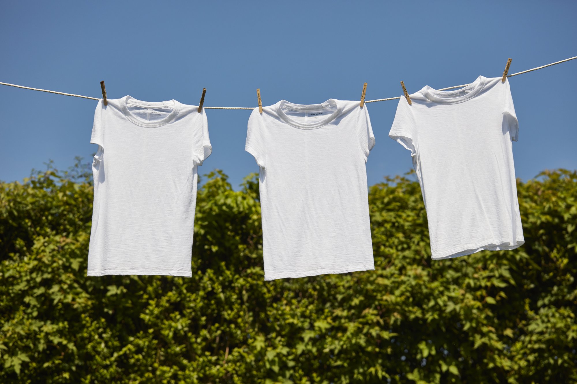 assets2f58e9d3cf0a1a474bb14df9285f98241d2f85e2ac0fbf1a48ebb64473c6559417a7-1 assets2f58e9d3cf0a1a474bb14df9285f98241d2f85e2ac0fbf1a48ebb64473c6559417a7 1