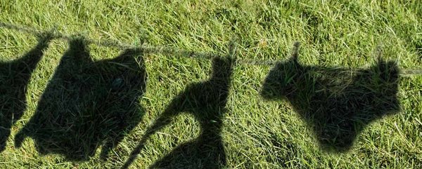 Washing Bras Like a Pro: Say Goodbye to Deodorant Stains! 2 assets2f58e9d3cf0a1a474bb14df9285f98241d2f913316b612de4e8796249782f0d4be25 1